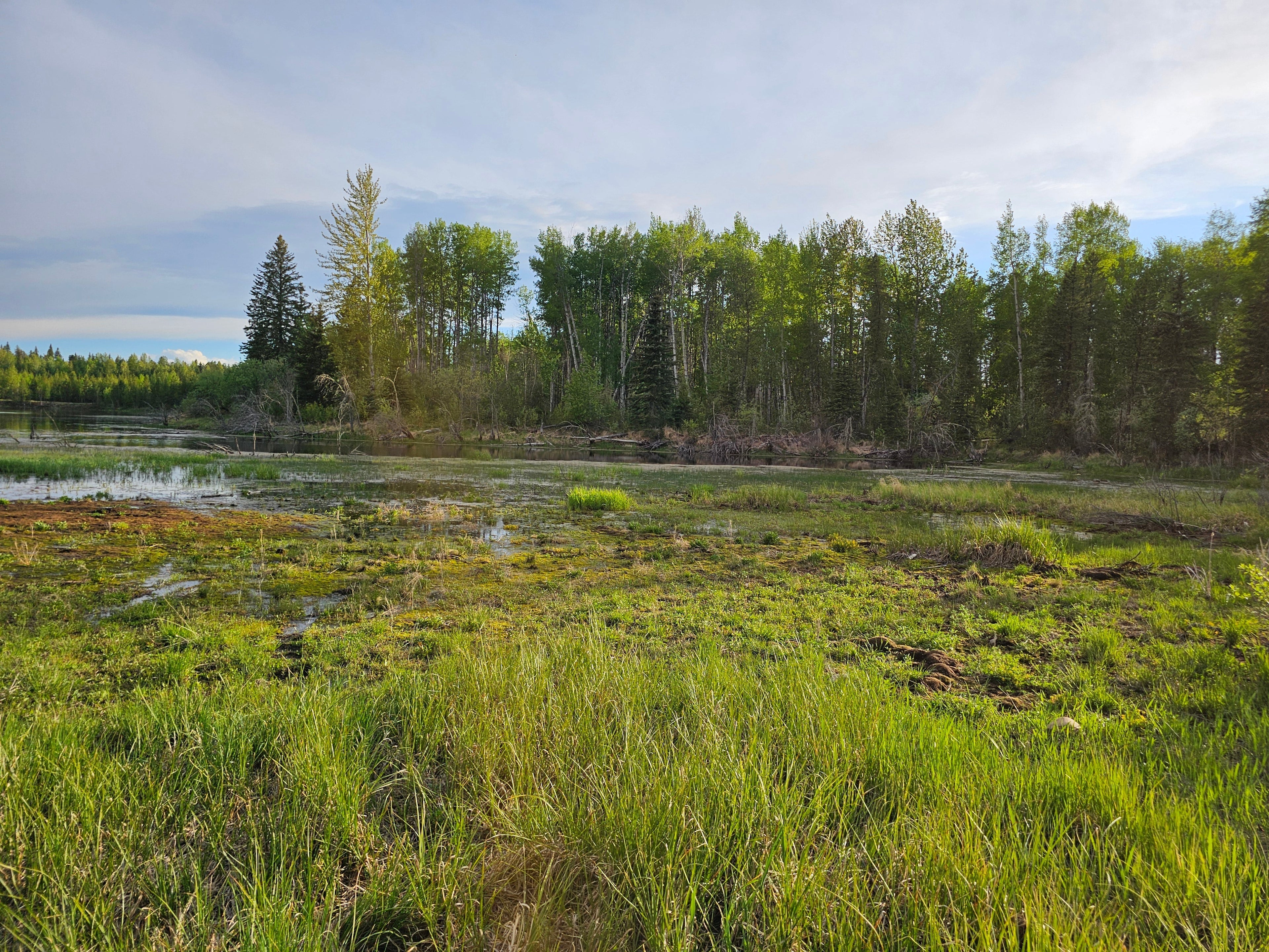 The Scents of Spring