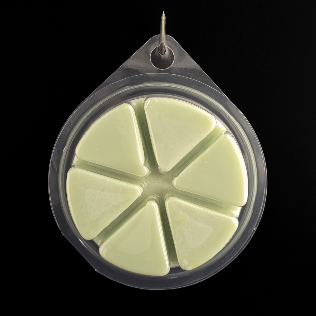 Cozy Camp Wax Melt Set