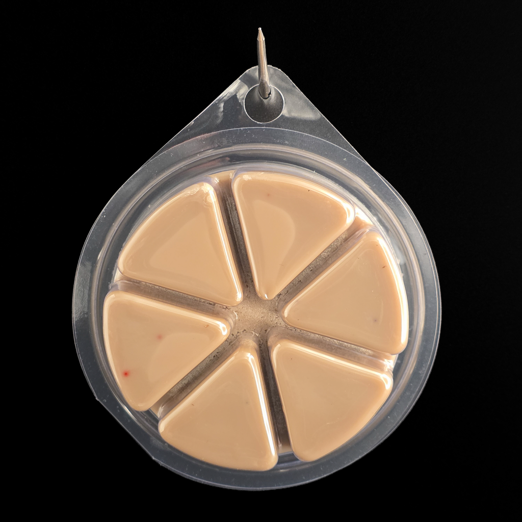 Cozy Camp Wax Melt Set