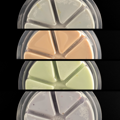 Cozy Camp Wax Melt Set